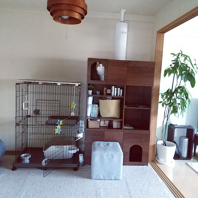 Akiさんの実例写真