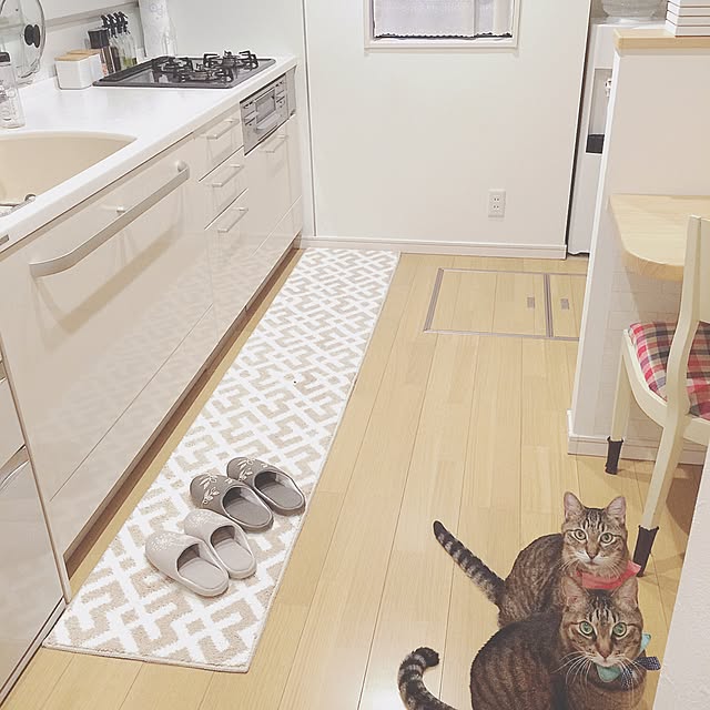 lovecatさんの実例写真