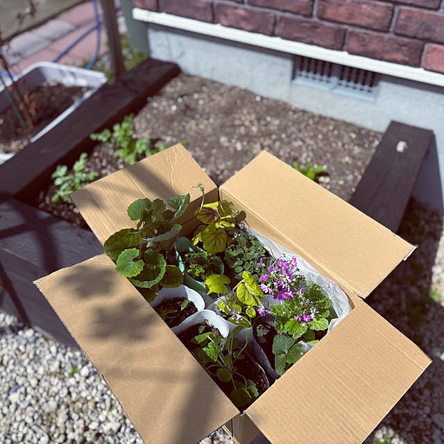 usagiさんの部屋