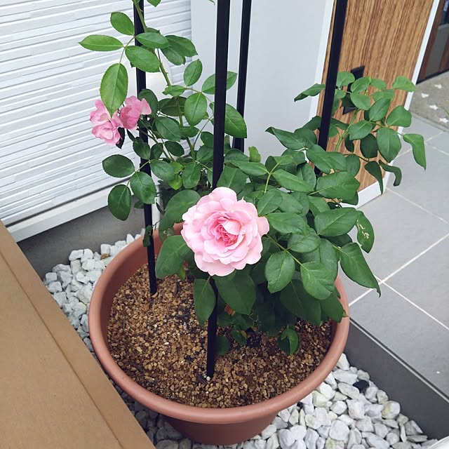 NAOKIさんの実例写真