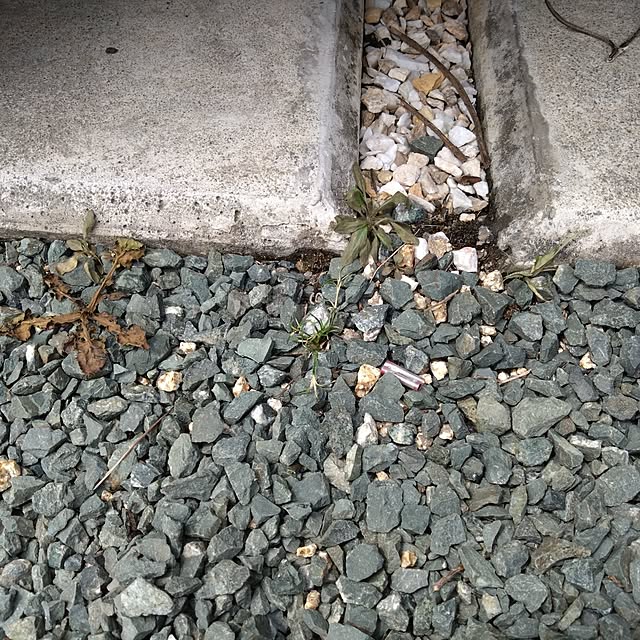 chocococoaさんの実例写真