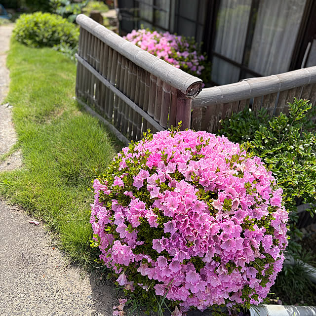 buchiさんの部屋