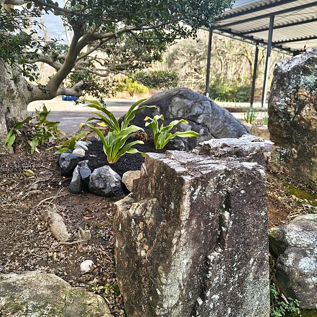 Rubiconさんの部屋