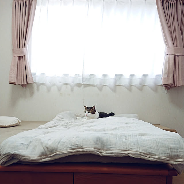nachiさんの実例写真