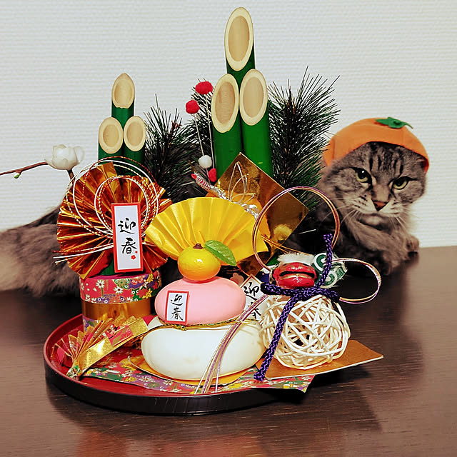 kimiwasaさんの実例写真