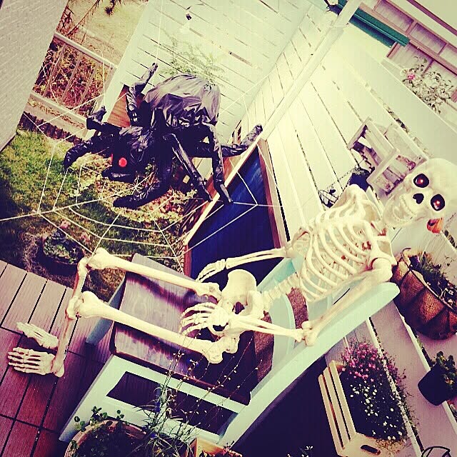 Mayumiさんの実例写真