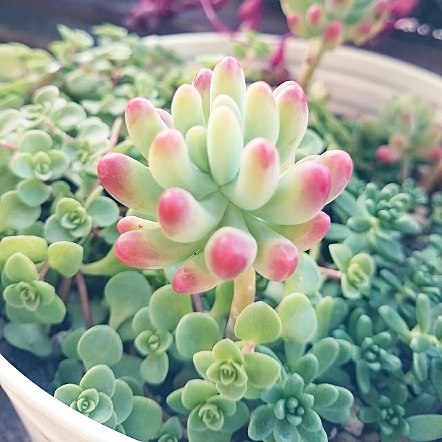 ripさんの実例写真