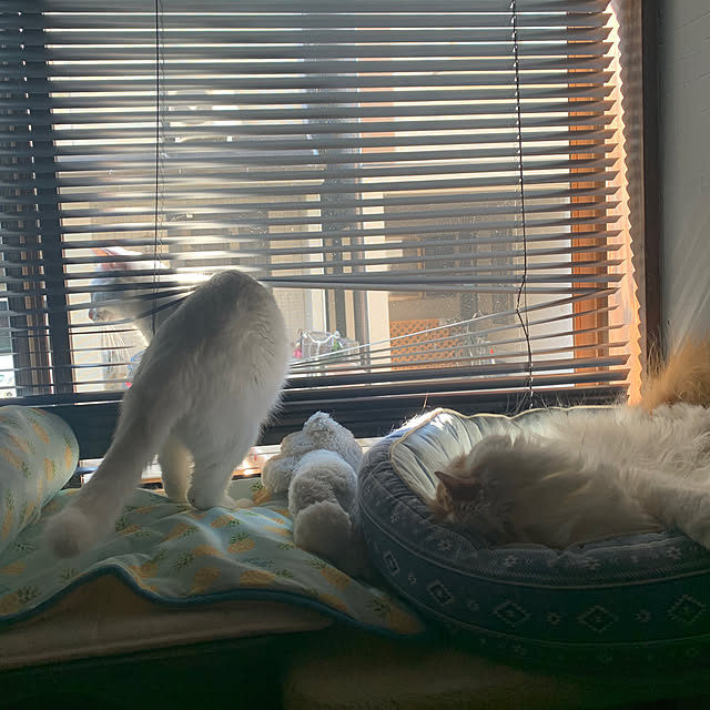 keiさんの実例写真