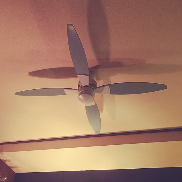 jammyさんの実例写真