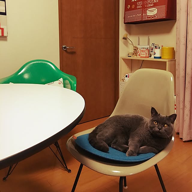 Shojiさんの実例写真