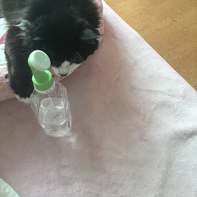 kanaさんの実例写真