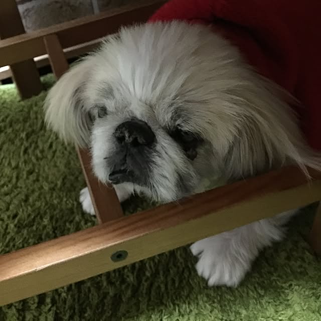 mametanukiさんの実例写真