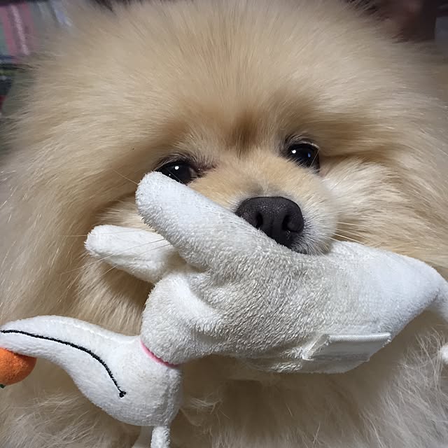 naoaonojoさんの実例写真