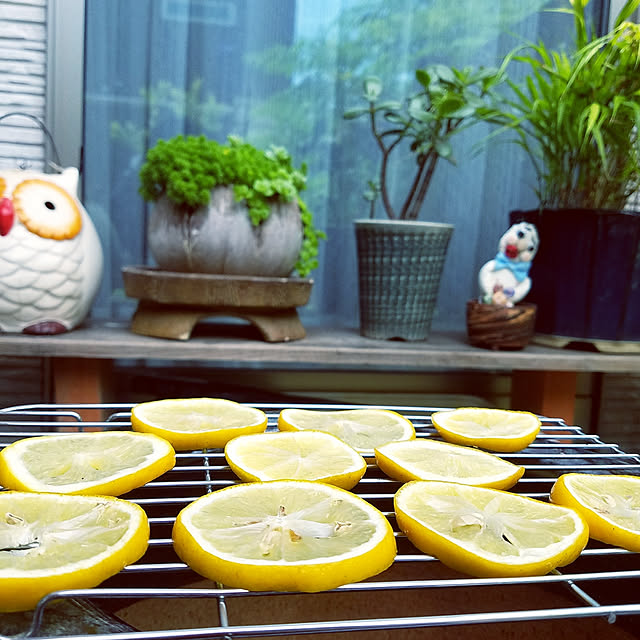 325unさんの実例写真