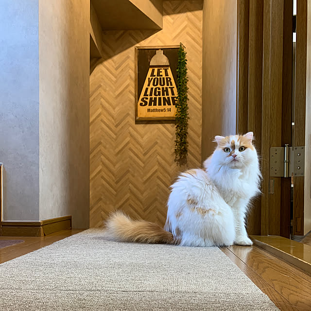 keiさんの実例写真