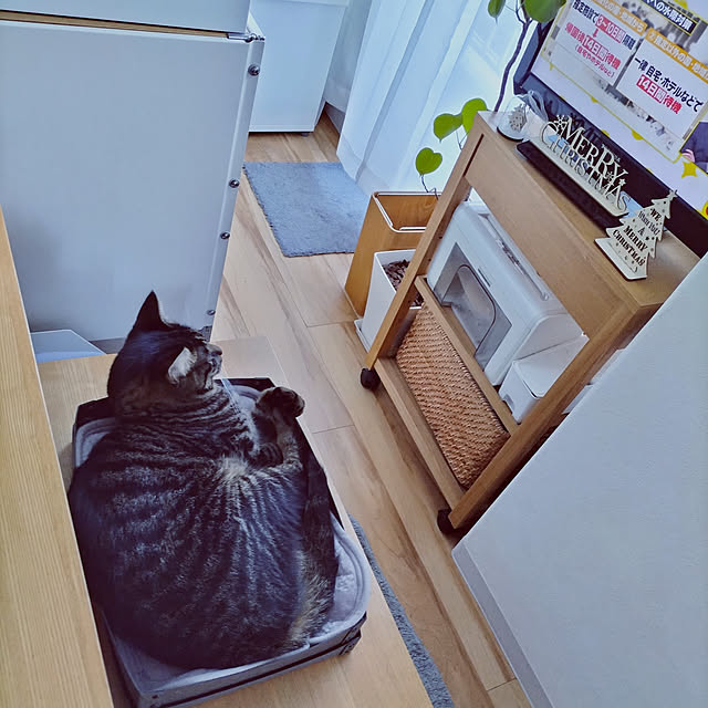 hihaさんの実例写真