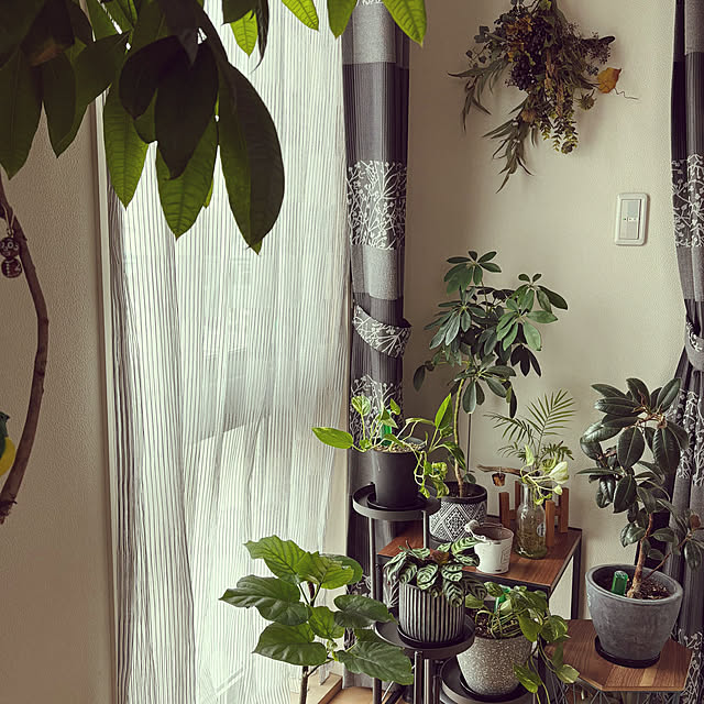 m.h.mammyさんの実例写真