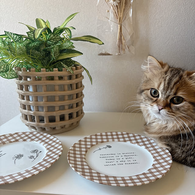 miyu39さんの部屋