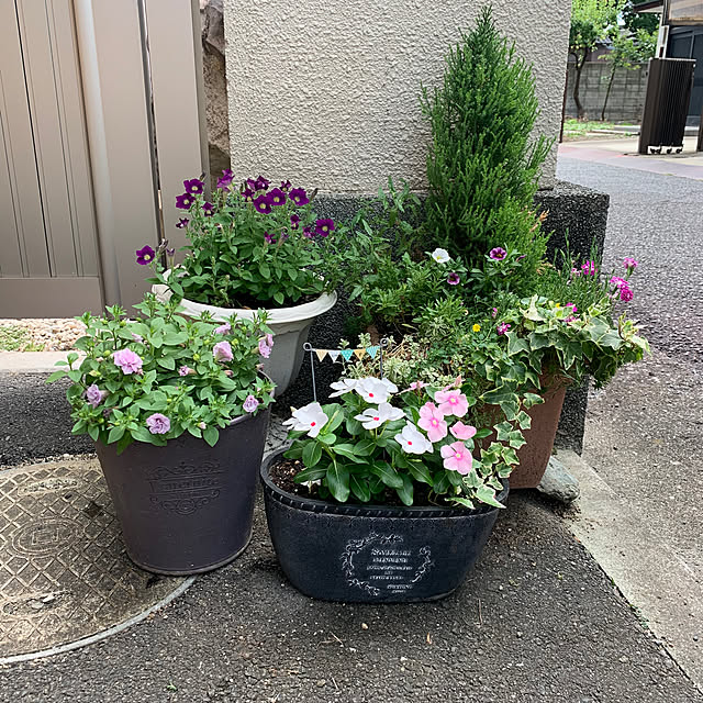 maayaさんの部屋