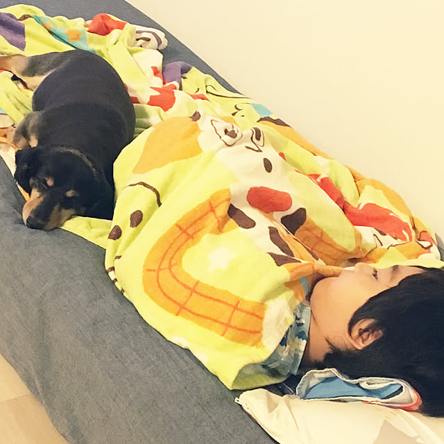 ohanaさんの実例写真