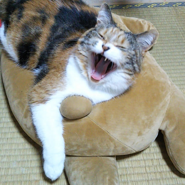 yukieさんの実例写真