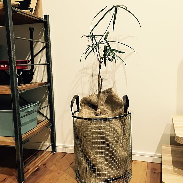 Emiさんの実例写真