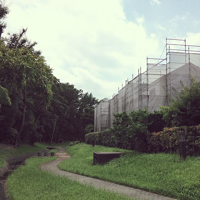 部屋全体/観葉植物/ガーデニング/ナチュラルのインテリア実例 - 2016-12-28 02:15:32