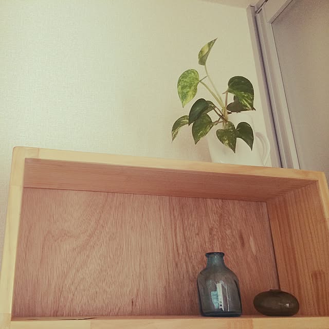 mingeinosusumeさんの実例写真