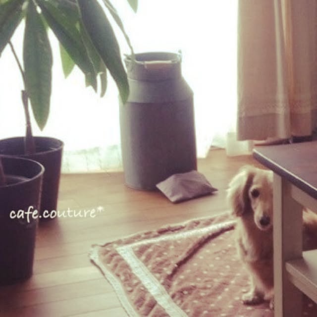 R.yukaさんの実例写真