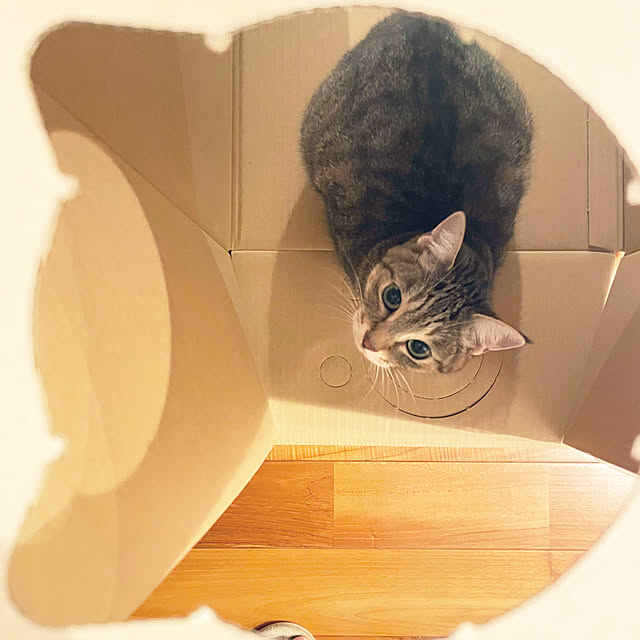 sayapiさんの部屋