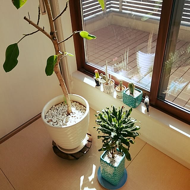 cherryさんの実例写真