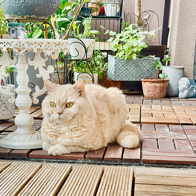 naokoさんの部屋