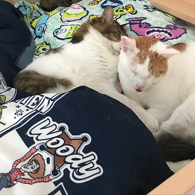 maruさんの実例写真