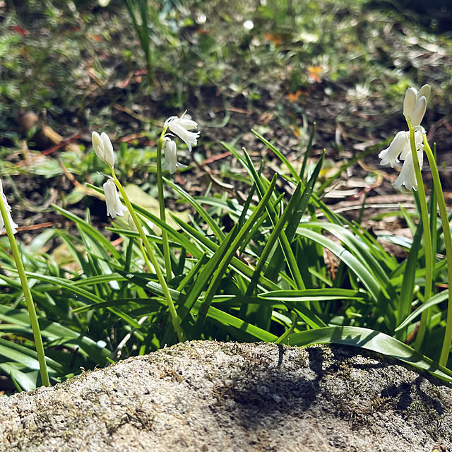 mamanさんの部屋