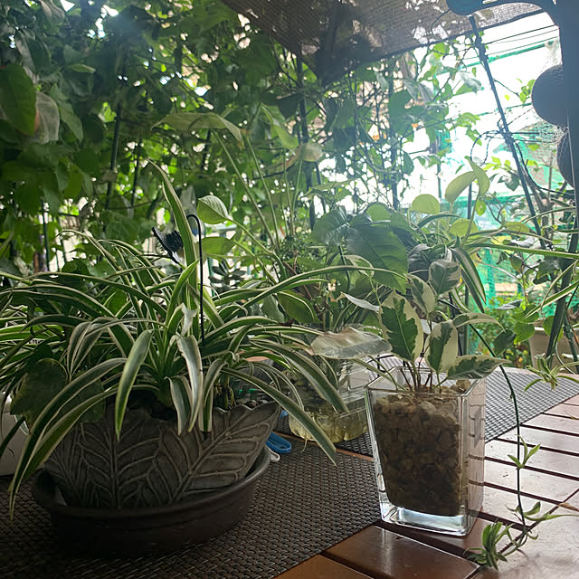 Aqettyさんの部屋