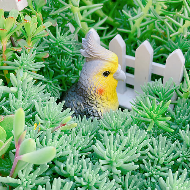 Hanakaさんの部屋