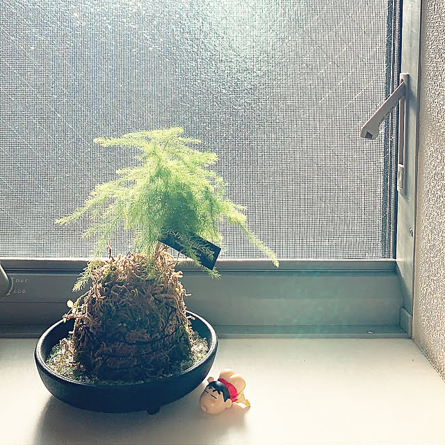 suzuwoさんの実例写真