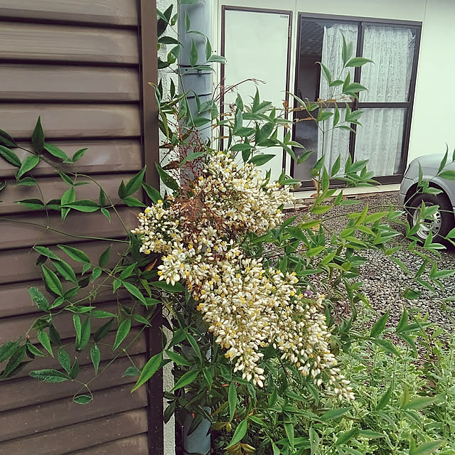 hiroさんの実例写真
