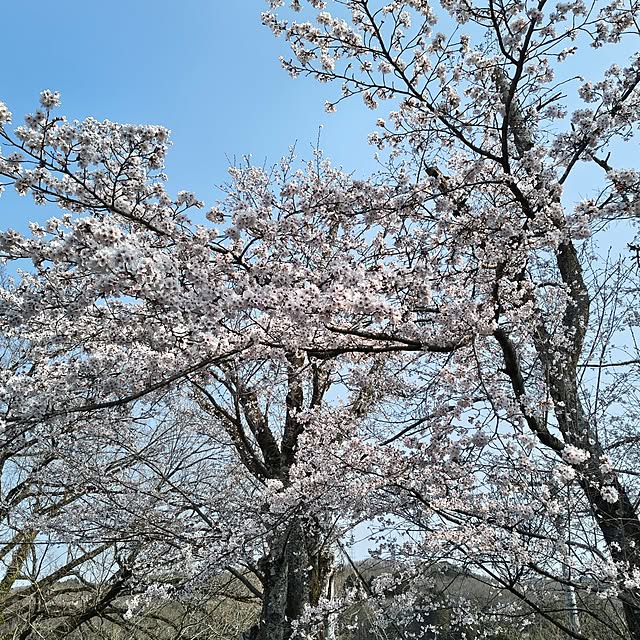 Rubiconさんの部屋