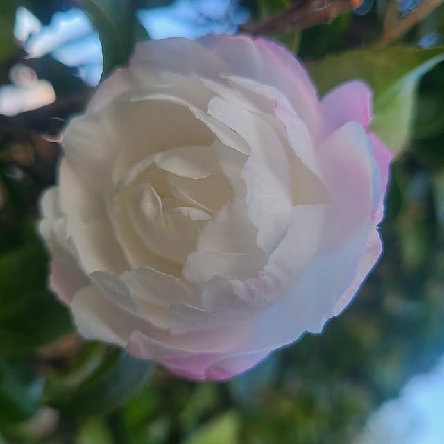 Rubiconさんの実例写真