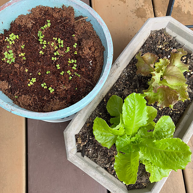 ayayayayaさんの部屋