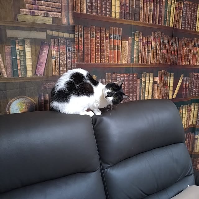 NOAHさんの部屋
