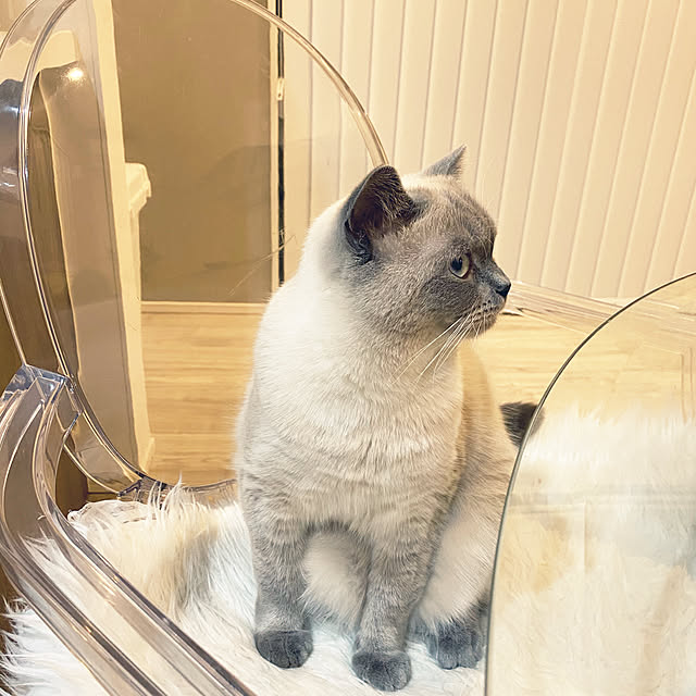 gingerwynksさんの実例写真