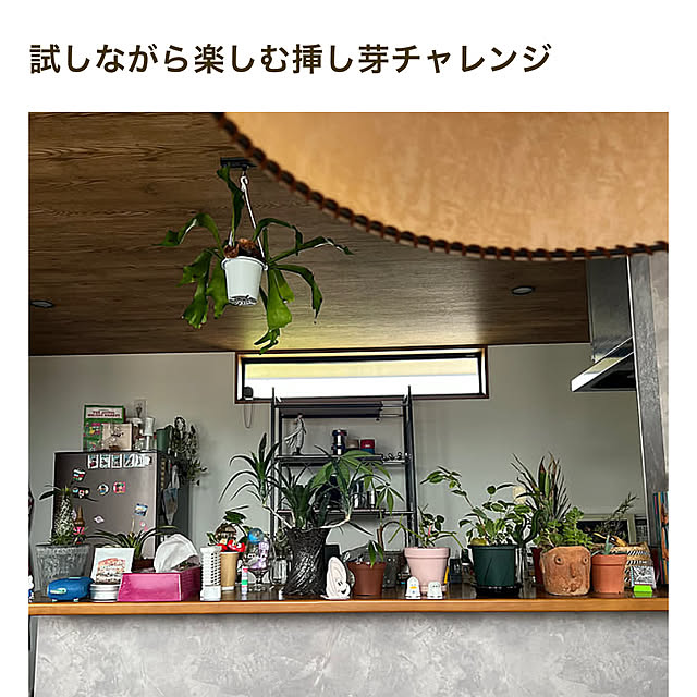 pokowheeさんの実例写真
