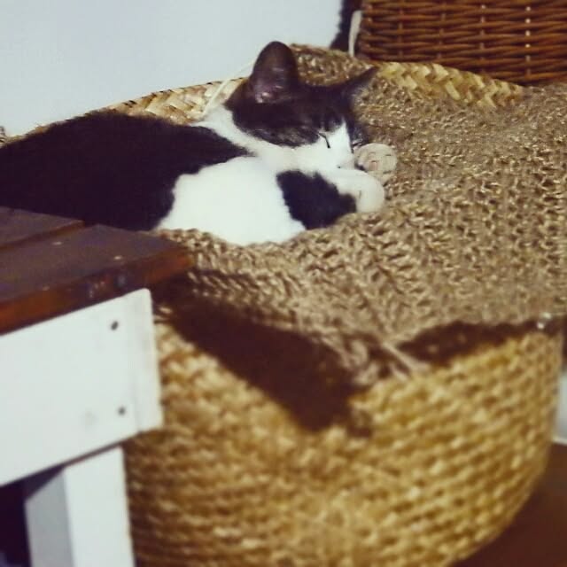 yukiさんの実例写真