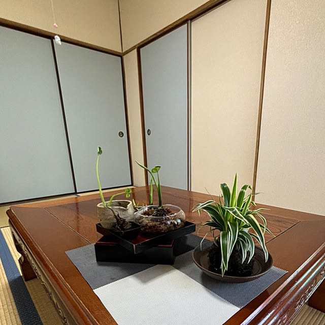 syutmmさんの部屋