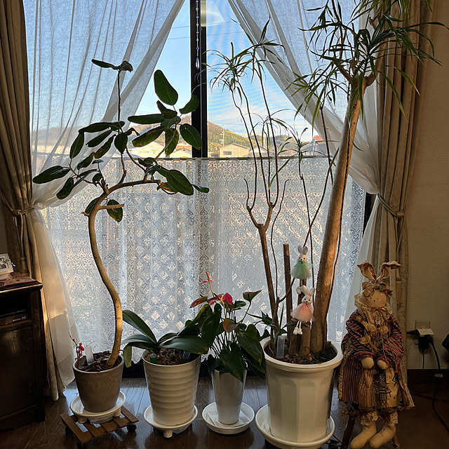 ritsukoさんの部屋