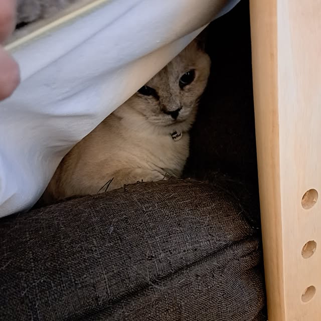 kiyohima229さんの部屋