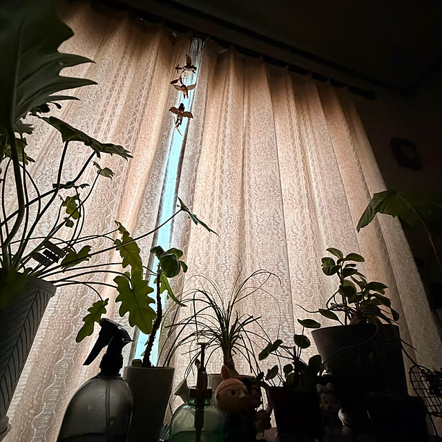 cotaさんの実例写真