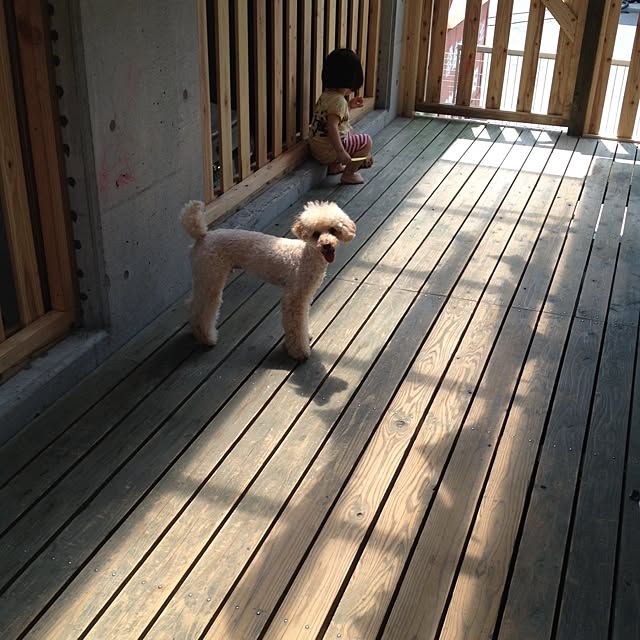 mm_midori0906さんの実例写真